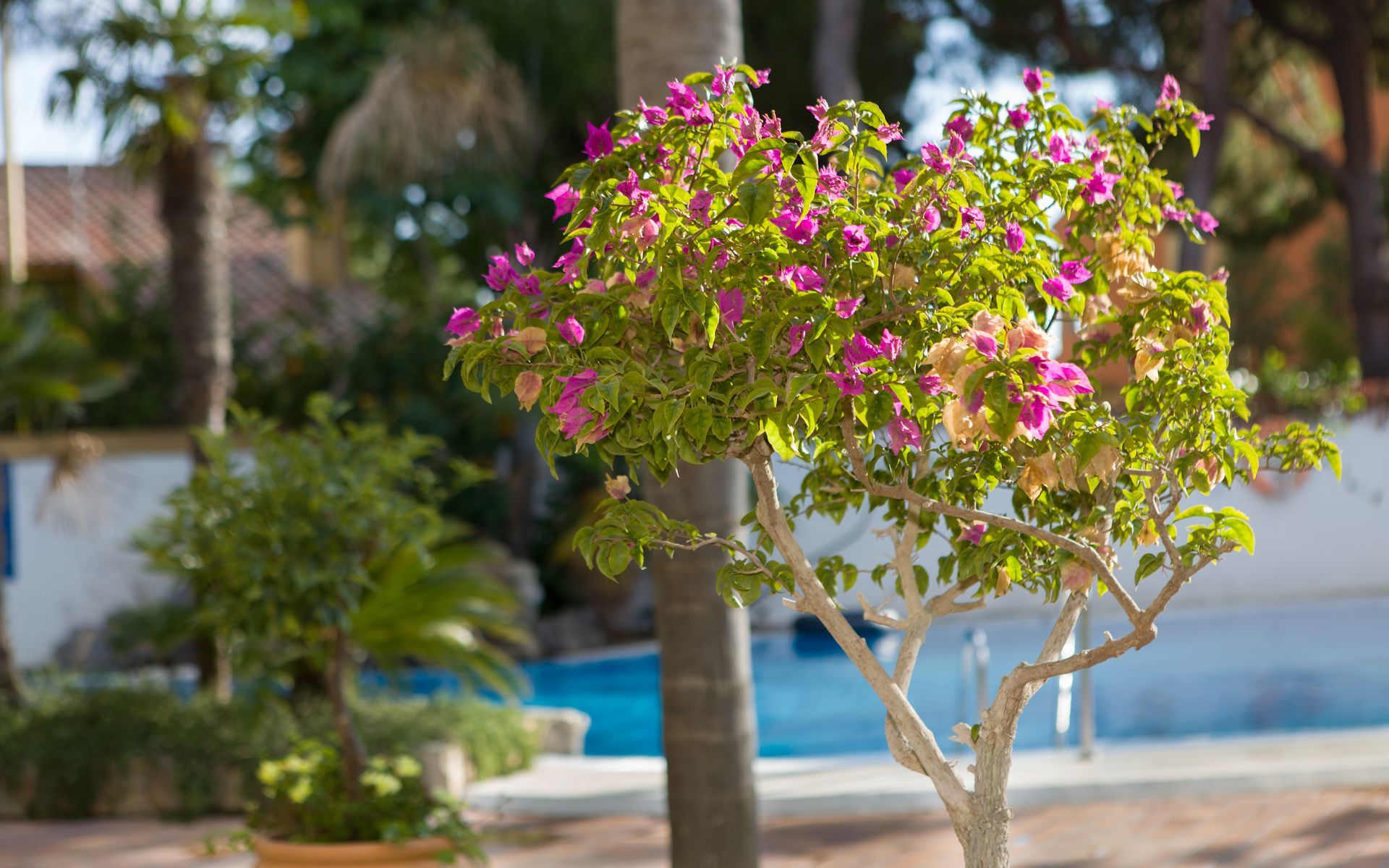 Hotel Soho Boutique Vistahermosa Эль-Пуэрто-де-Санта-Мария Экстерьер фото